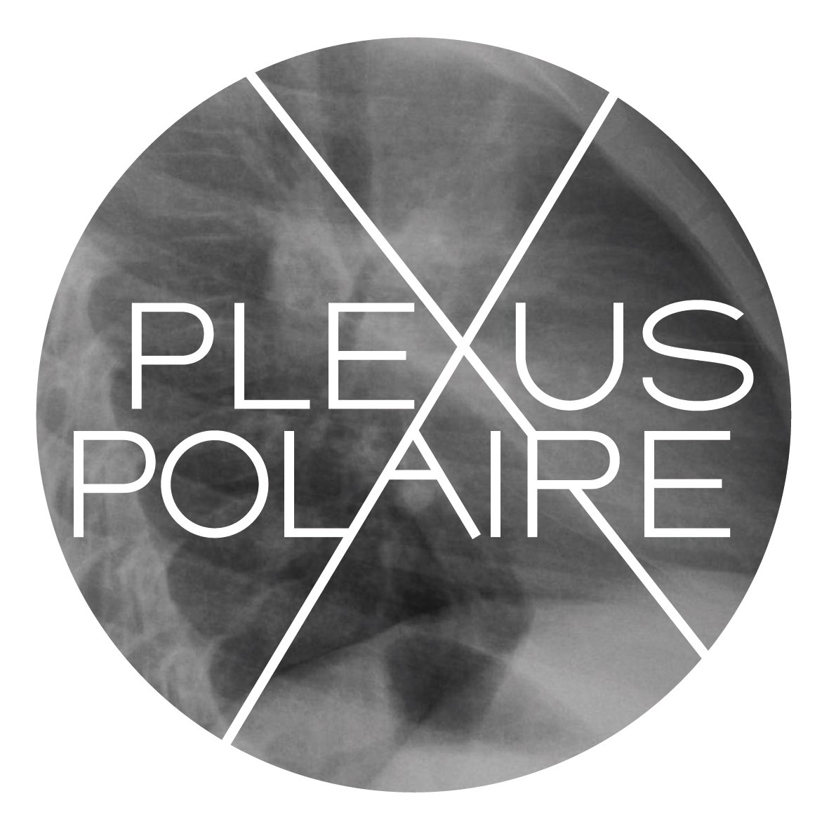 Plexus Polaire